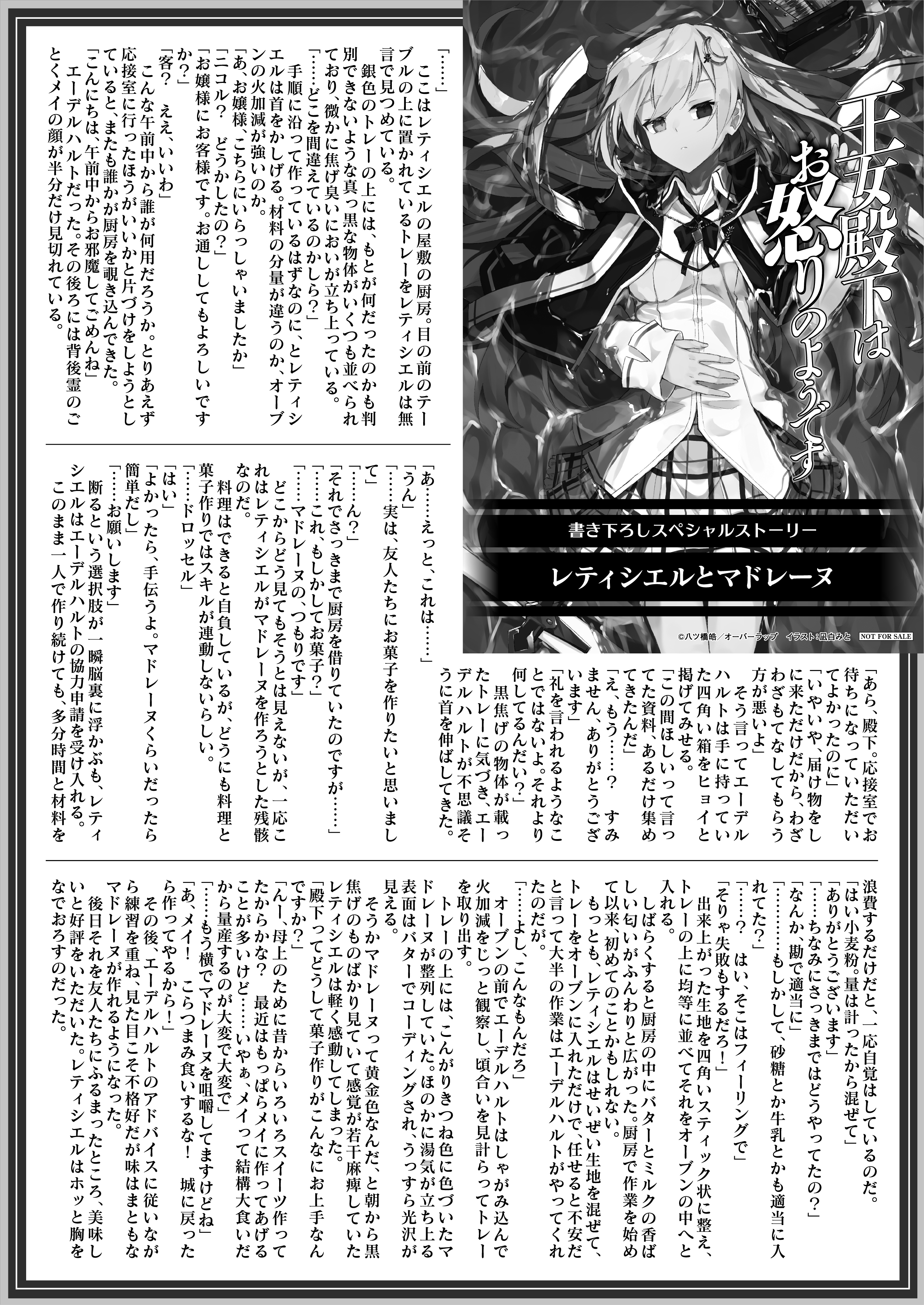 【文庫】「王女殿下はお怒りのようです 5.邂逅、そして」B5SSペーパー